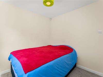 Picture 29